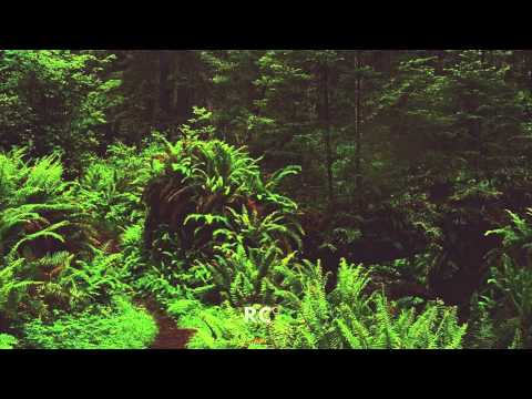 Bryan Milton feat. Jama - Like A River (Cobalt Rabbit Remix)