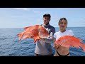 REEF ADDICTS Deep Sea Fishing RACE THE SHARKS