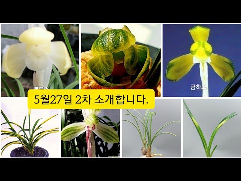 유튜브 썸네일
