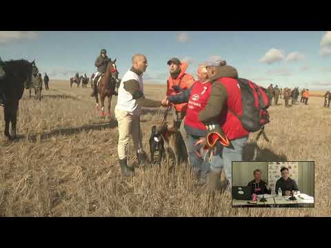 Los Mejores momentos    Octavos de Final LXXXVIII  CTO DE ESPAÑA DE GALGOS EN CAMPO