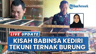 Dari Barak ke Kandang Kenari, Kisah Babinsa Kediri Menekuni Ternak Burung hingga Raup Untung