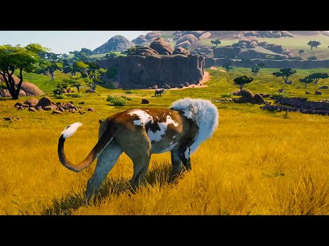 Survival as a SOLO Barbary Lion | Animalia Survival