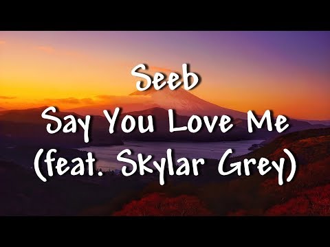 Seeb - Say You Love Me (feat. Skylar Grey) - Lyrics