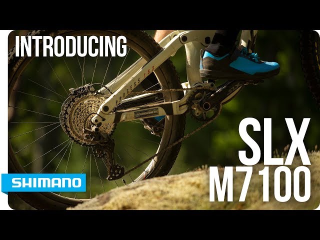 SHIMANO DEORE SLX XT RD XTR M6100 M7100 M7120 M8100 M8120 M9100 12S SGS dérailleurs arrière vtt dérailleurs 12 vitesses VTT  18