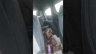 Video preview image #1 Doberman Pinscher Puppy For Sale in Omaha, NE, USA