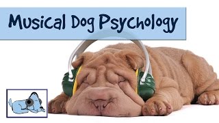 Musical Dog Psychology - Overcoming Anxiety in Canines