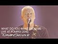 David Gilmour - What Do You Want from Me (Live At Pompeii)