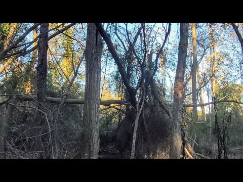 Into and Beyond The Alpha Area with Montauk Is Strange And LIB