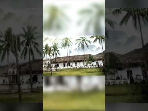 ✅ Municipalidad de Esquipulas, Chiquimula