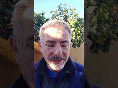 Evangelio del Nuestro Señor Jesucristo Con el Padre Fabian Esteban Oliva. 30/04/26
