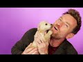 Download Lagu Ewan McGregor Plays With Puppies While Answering Fan Questions Mp3 Free