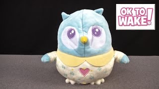Ok to Wake Owl from Patch Products