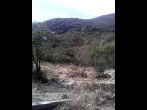 TRIO CORCEL QUERETANO a bailar la cumbia