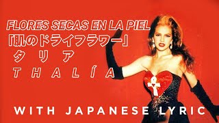 Thalia - Flores Secas en la Piel (With Japanese Lyric/Letra)