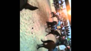 Laberinto Austin, TX Nuestro Destino