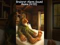 Brainrot Alarm Original Sound Brainrot Song Brainrot Memes