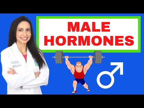 Male Hormones:  How's your testosterone and estrogen?