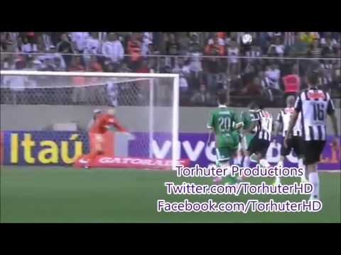 Fábio Szymonek ● Defesas ● Palmeiras ● 2014