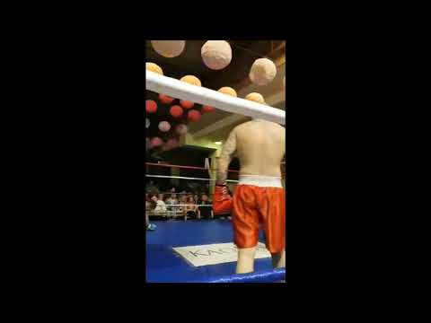 Danijel Boyka pro box brutal KO