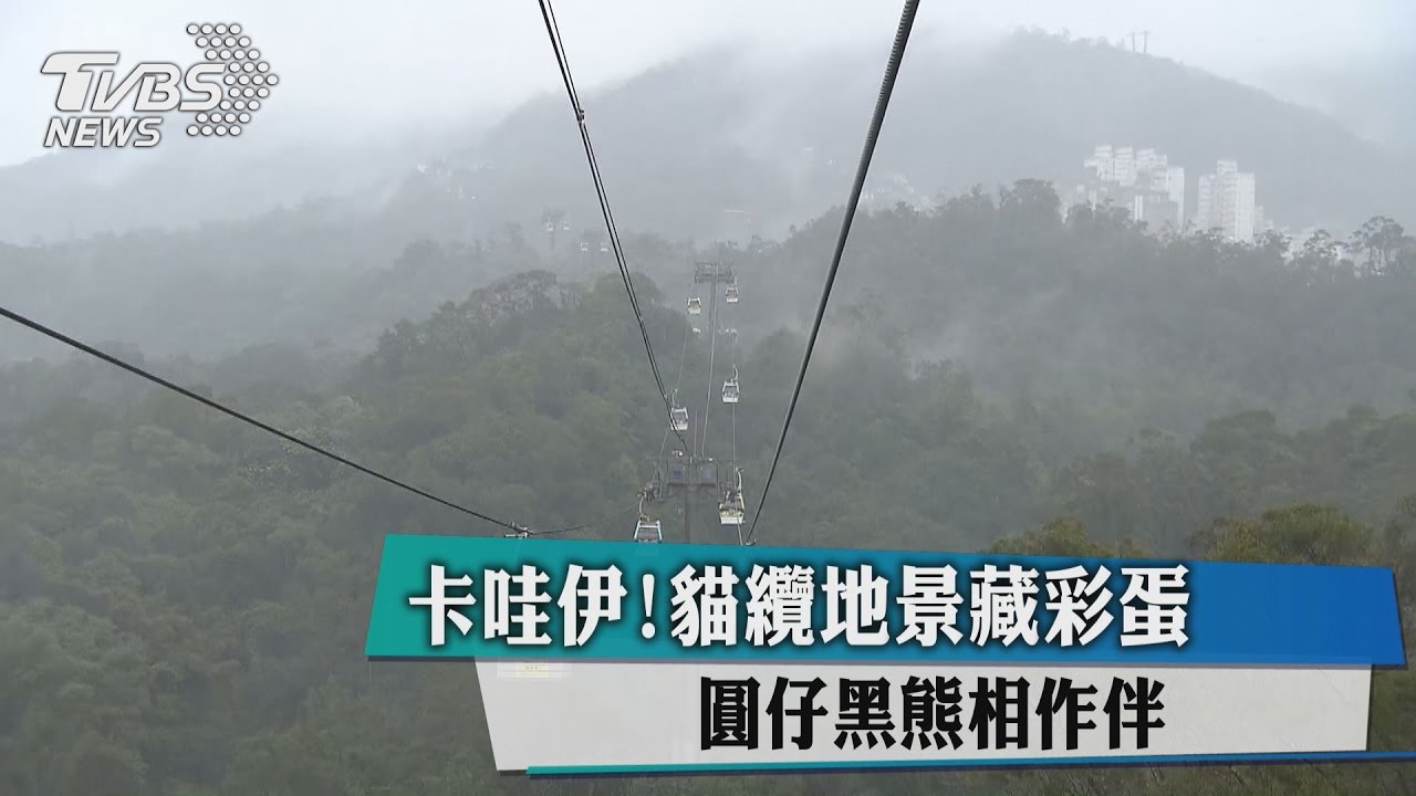 卡哇伊！貓纜地景藏彩蛋　圓仔黑熊相作伴