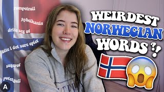 The WEIRDEST Norwegian Words & Sayings 🇳🇴