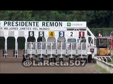 Clásico Raúl Espinosa 2017 (Copa de Oro) - El Tigre Mono (PAN), Lorenzo Lezcano