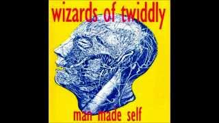 Wizards of Twiddly - Man Made Self