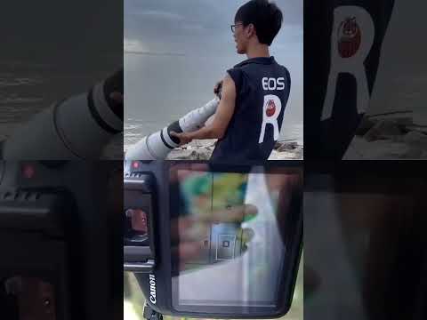 Canon zoom lens EF 600mm USM vs 88mm EF 75-300 😇 #shorts #photography #gadgets