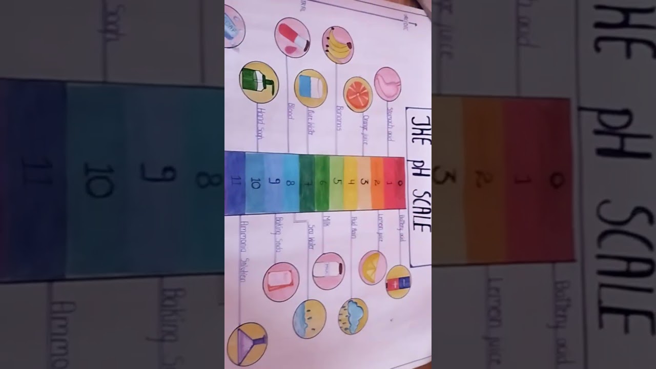 Thr pH scale chart 💡idea #chart#chemistry #school