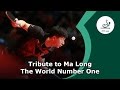 Tribute to Ma Long - The World Number 1