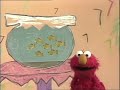 רחוב סומסום Sesame Street Seven Goldfish Hebrew