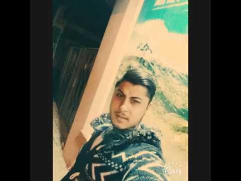 Veli Wolf Akaleis Sejdo Legend  Bad Boy 2016