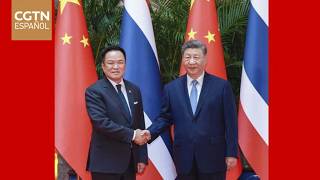 El presidente Xi Jinping se reúne con el primer ministro tailandés Anutin en Shanghai