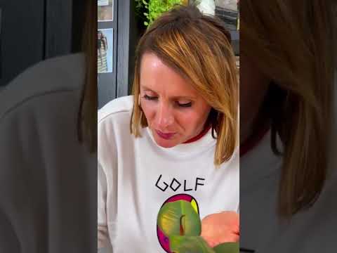 Easy Hummus Stuffed Sweet Potato | Sofie Dumont #Shorts