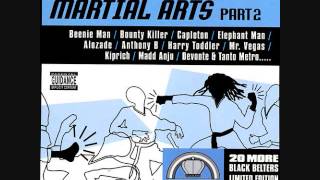 Martial Arts Pt.2 Riddim Mix (2002) By DJ.WOLFPAK