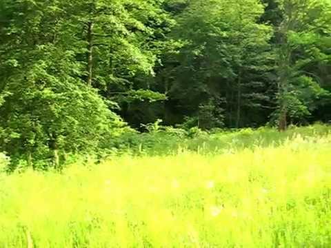 Ag. Imob. "ACASA-Onesti" recomanda