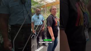 Caught in the Act: Confrontation at the Library