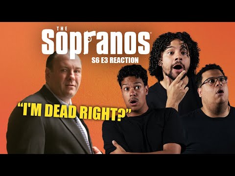 SEEING THE LIGHT | The Sopranos S6 Ep.3 "Mayham" | FIRST TIME WATCHING | REACTION & DISCUSSION
