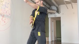 preview picture of video 'Wing Tsun Gaan-Sao for home workout'