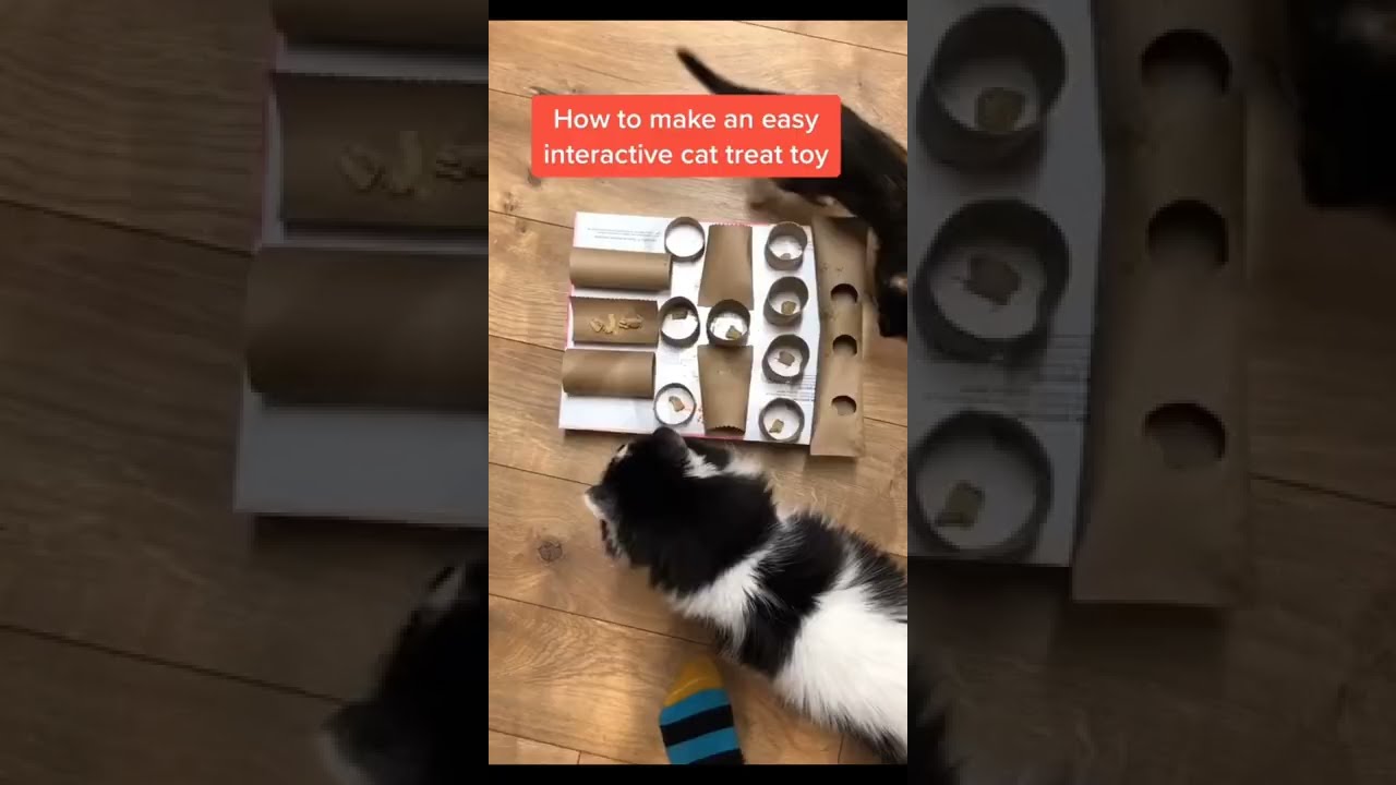 Zabawki dla kota DIY