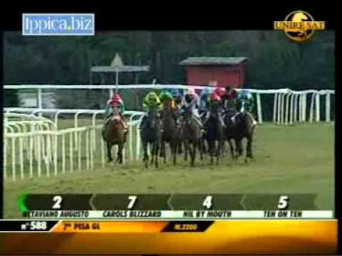 07/02/2013, Pisa Galoppo, Premio Agnano C.naz.