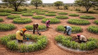 Download lagu How Millions of Refugees Dug Water-Retention Pits to Turn 100,000 Hectares of Desert into Farmland mp3 Download lagu How Millions of Refugees Dug Water-Retention Pits to Turn 100,000 Hectares of Desert into Farmland mp3