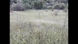 Download lagu STORY WA TERBARU 2020 || STORY WA 30 DETIK || STORY WA KEREN || STORY WA KEREN 30 DETIK || KLX mp3