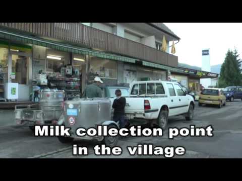 Primarschule Oberdorf (BL)