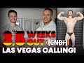 Road to Las Vegas! Philipp will den Titel | 3,5 Weeks Out - Deutsche Meisterschaft GNBF