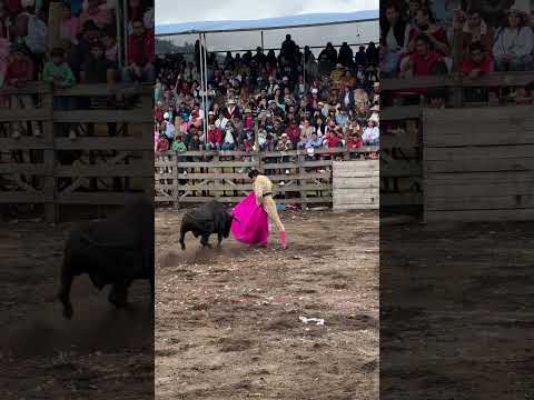 Festival Taurino en Quero 🇪🇨 #taurinos #toros #mocha #tungurahua