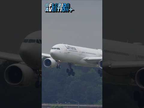 Lufthansa Airbus A330 Beautiful Landing at World’s Busiest Airport Atlanta ATL  Plane Spotting in 4K