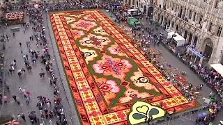 Brussels flower carpet marks Turkish immigration to Belgium
