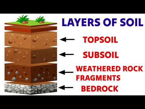 Layers of Soil | EVS for class 3&4 | Uses of soil | Different layers of soil | What is Soil? | #soil