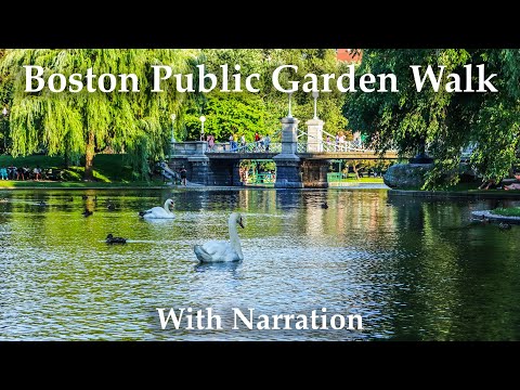 Boston Public Garden Spring Walk with Historical Commentary. Beautiful Tulips. Boston Massachusetts